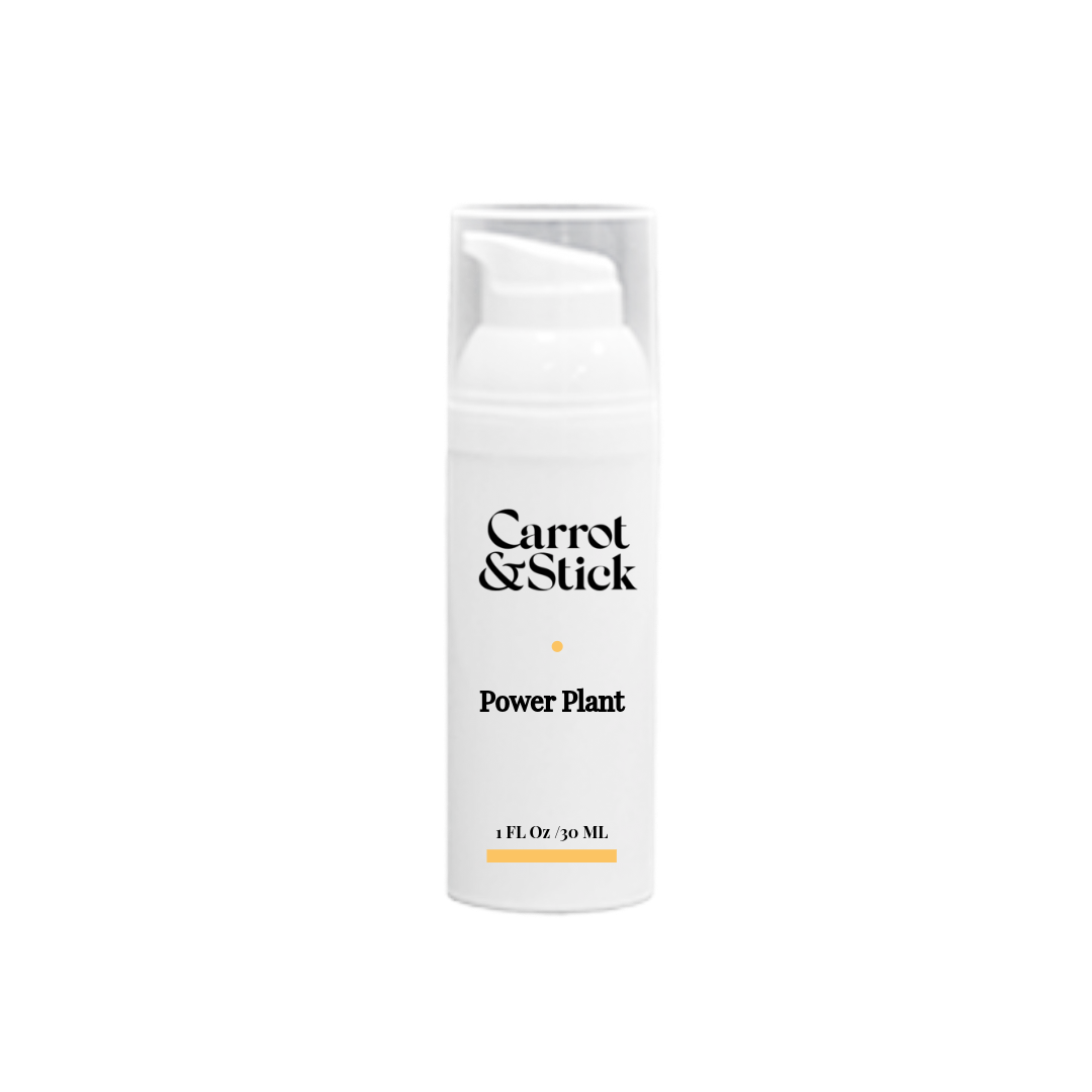 Power Plant